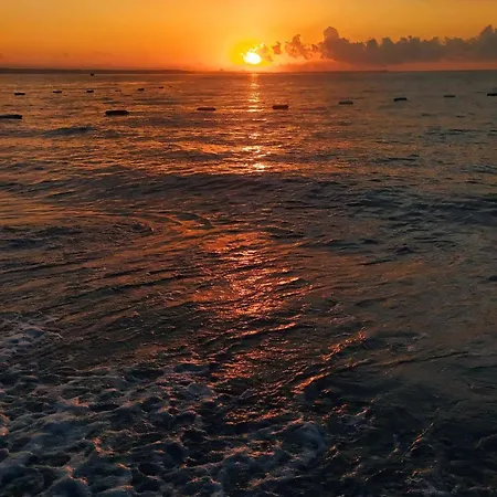 в каюта 公寓 *